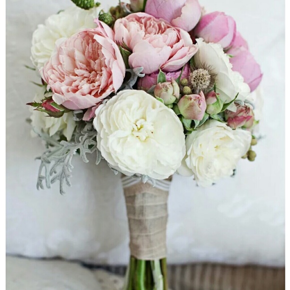 Meet your Posher, Deja - Picture 6 of 6